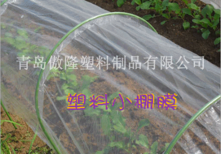 生產(chǎn)供應LLDPE塑料打孔小棚膜，/塑料棚膜/塑料薄膜