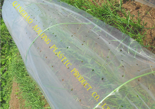 生產(chǎn)供應LLDPE塑料打孔小棚膜，/塑料棚膜/塑料薄膜