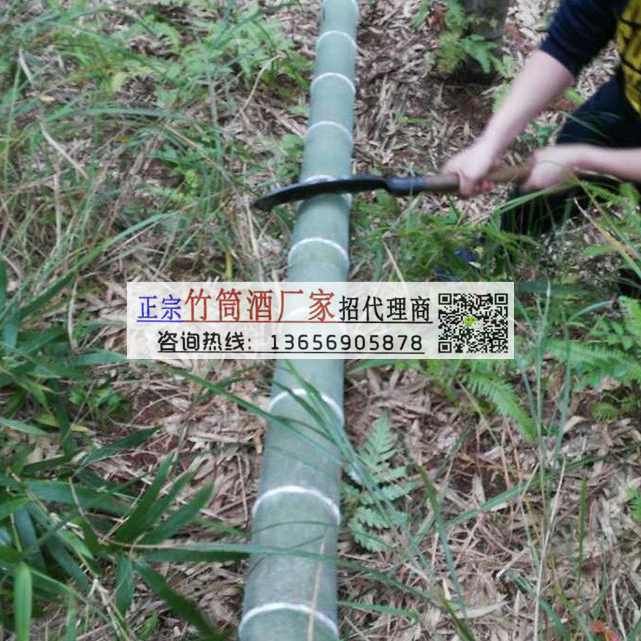 供應 竹筒酒——江蘇活竹酒代理要求 江蘇竹筒酒