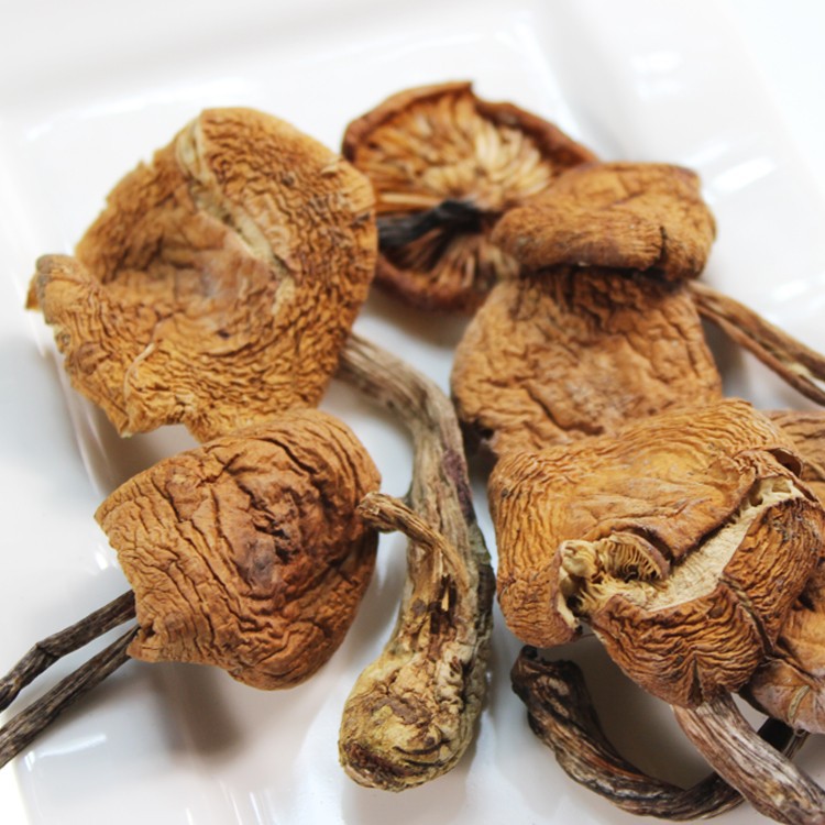 東北土特產(chǎn)四種*食用菌山珍禮盒 蘑菇木耳農(nóng)產(chǎn)品干貨批發(fā)