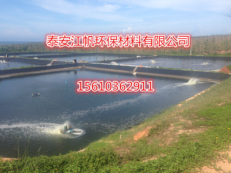安徽泥鰍養(yǎng)殖用防滲土工膜 報(bào)價(jià) 復(fù)合土工膜價(jià)格 防滲膜生產(chǎn)廠家價(jià)格