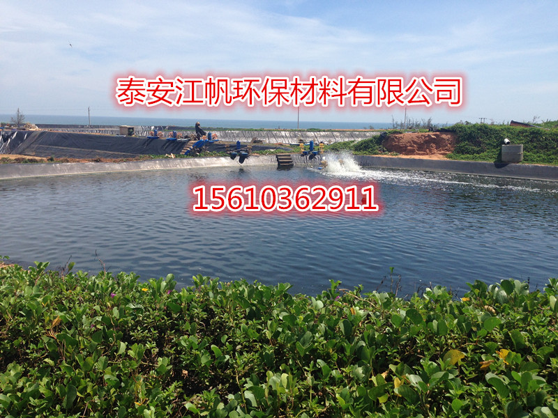 供應(yīng) hdpe防滲土工膜 藕池膜 魚塘防水膜 黑塑料布 兩布一膜一布一膜