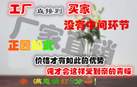 新奧爾良烤翅腌料 奧爾良腌料