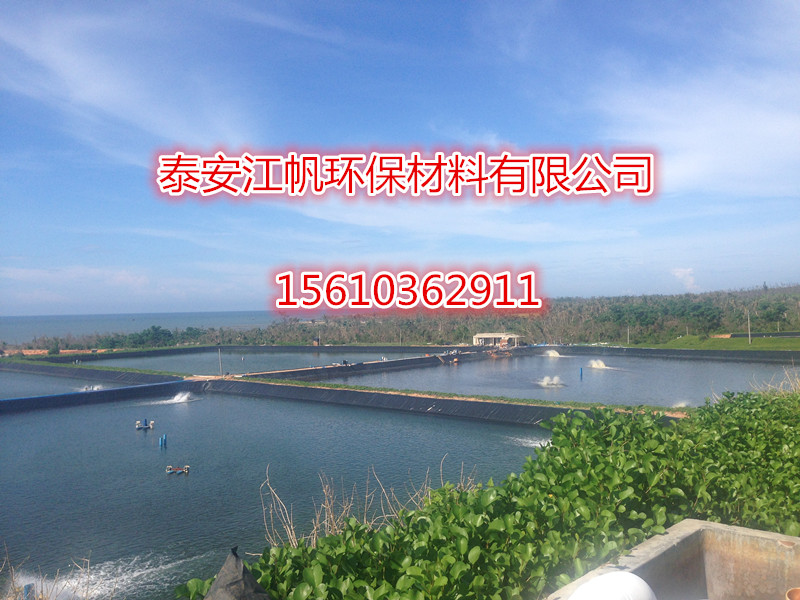 大連魚塘養(yǎng)殖土工膜廠家報(bào)價(jià) 超寬hdpe防滲土工膜價(jià)格 魚塘膜報(bào)價(jià)