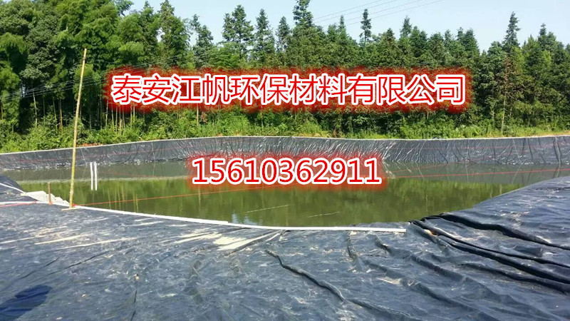 大連魚塘養(yǎng)殖土工膜廠家報(bào)價(jià) 超寬hdpe防滲土工膜價(jià)格 魚塘膜報(bào)價(jià)