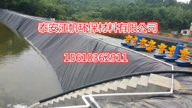 安徽泥鰍養(yǎng)殖用防滲土工膜 報(bào)價(jià) 復(fù)合土工膜價(jià)格 防滲膜生產(chǎn)廠家價(jià)格