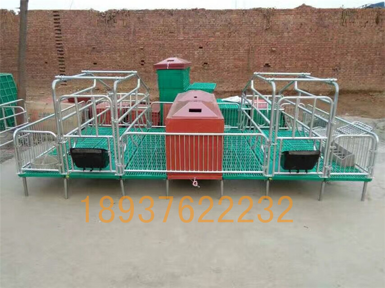 母豬產(chǎn)床 豬用分娩欄 產(chǎn)床