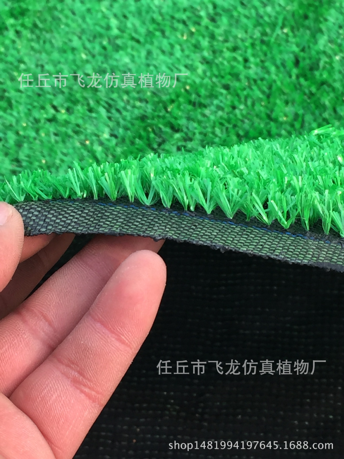 仿真草 仿真草價(jià)格 河北草坪廠 仿真草坪供應(yīng) 幼兒園地毯草坪批發(fā)