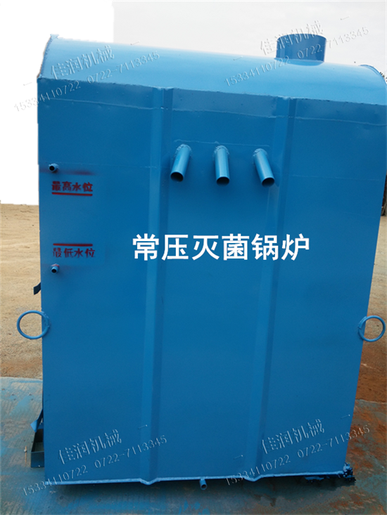 食用菌*鍋爐 常壓鐵式鍋爐 食用菌產(chǎn)蒸汽鍋爐