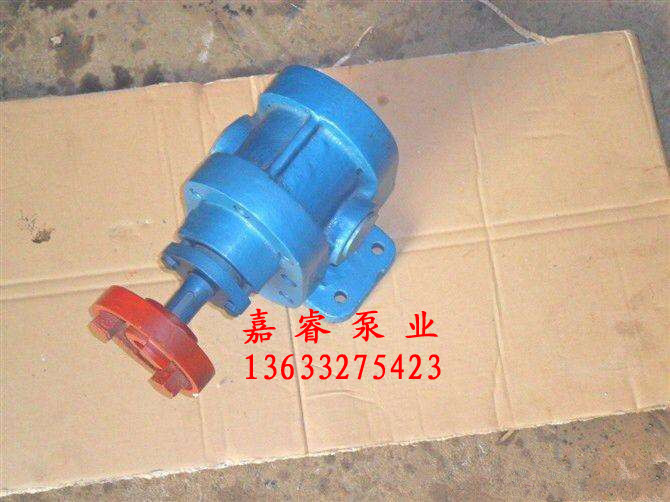 2CY-3/2.5系列齒輪油泵 不銹鋼齒輪油泵 嘉睿泵業(yè)   2CY齒輪油泵