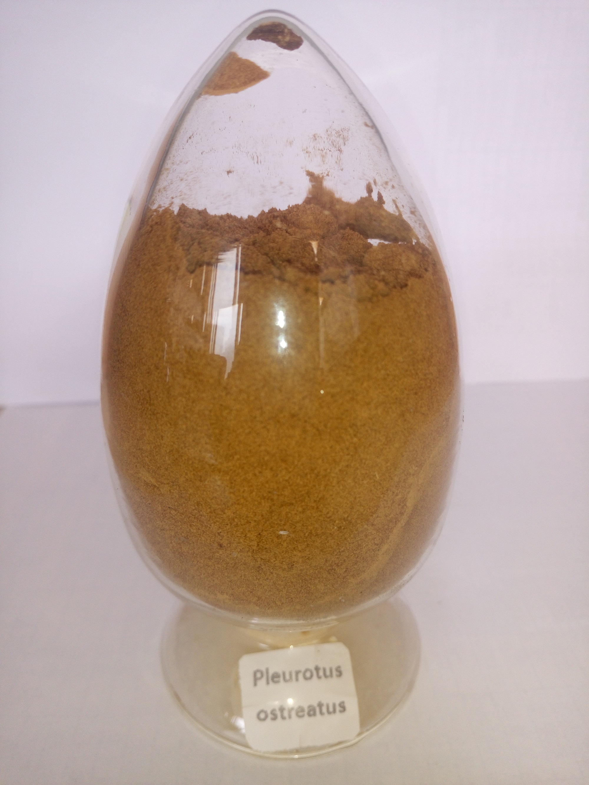 方格*平菇提取物