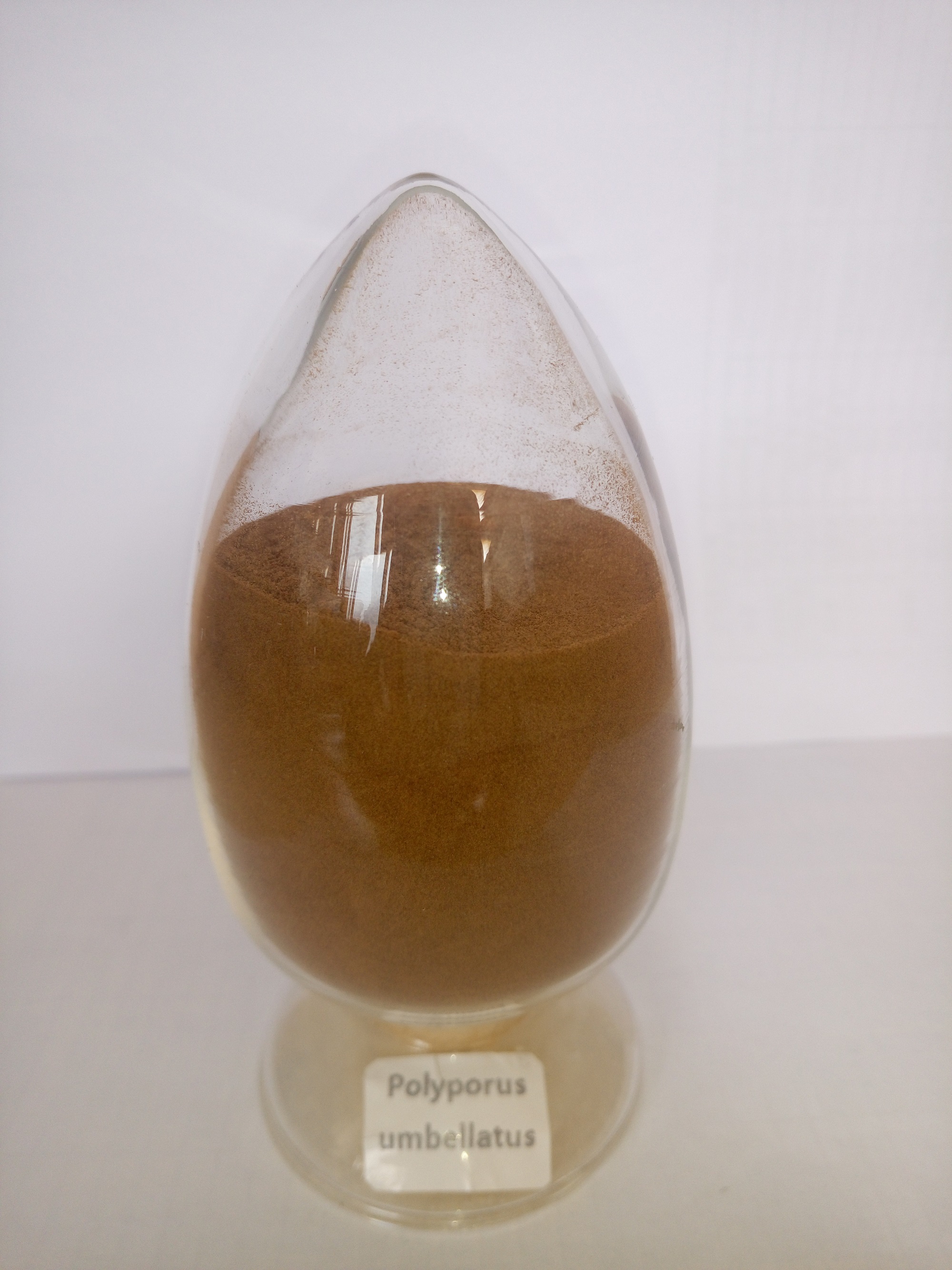 方格*豬苓提取物