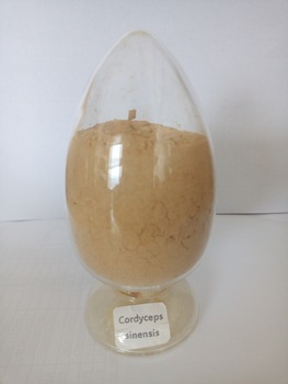 方格*蟲(chóng)草菌絲體提取物