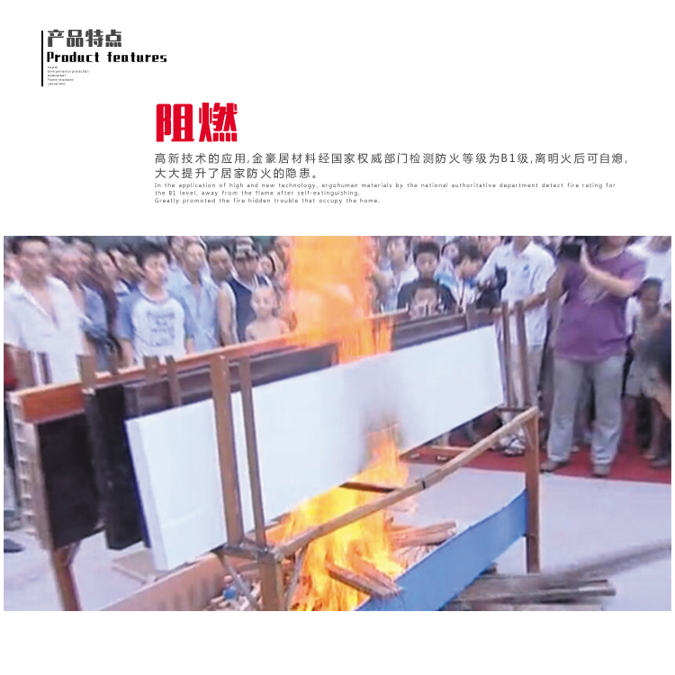 環(huán)保門  桐佳藝整屋快裝室內(nèi)門  木塑門  桐佳藝整屋快裝室內(nèi)門