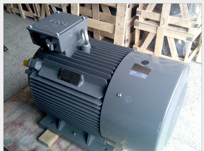 東元電機(jī) 15KW 4P AEEVVS 臥式3相 380V