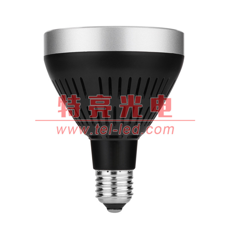 par30金鹵燈代換品 可替代PAR30LED射燈