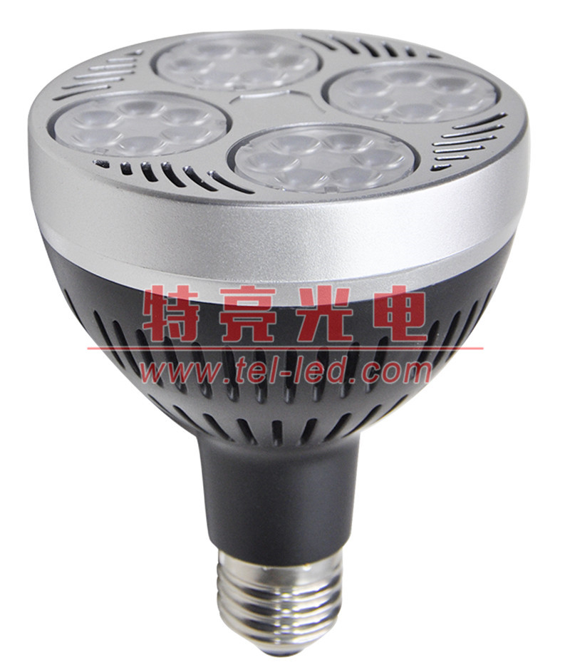 par30金鹵燈代換品 可替代PAR30LED射燈