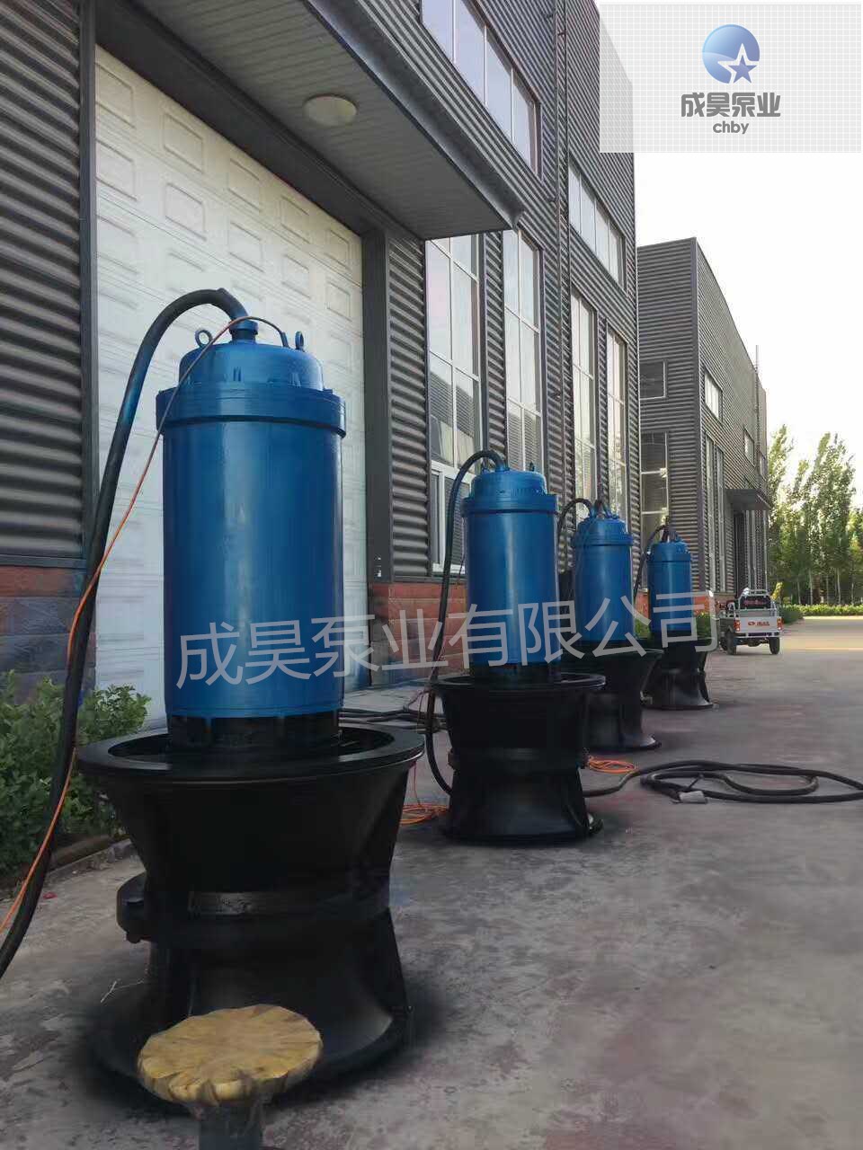簡(jiǎn)易型潛水軸流泵 潛水軸流泵廠家 天津潛水軸流泵廠家