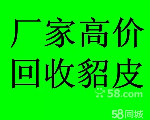 齊齊哈爾*皮回收.二手*皮回收.二手*皮價格