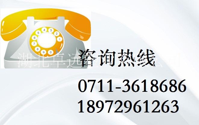 廠家批發(fā)優(yōu)質(zhì)塑料船 一次成型塑料船 水產(chǎn)養(yǎng)殖塑料漁船