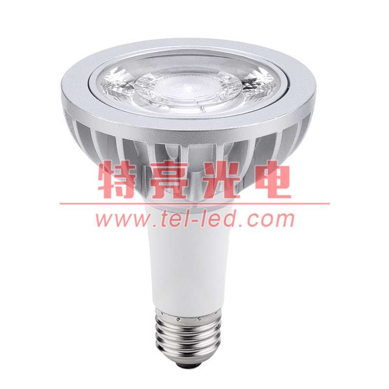 par30 OSRAM 歐司朗射燈 *長款PAR30LED射燈