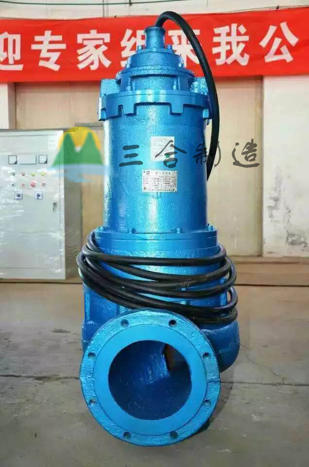 小型高壓潛水泵，不銹鋼噴泉泵。