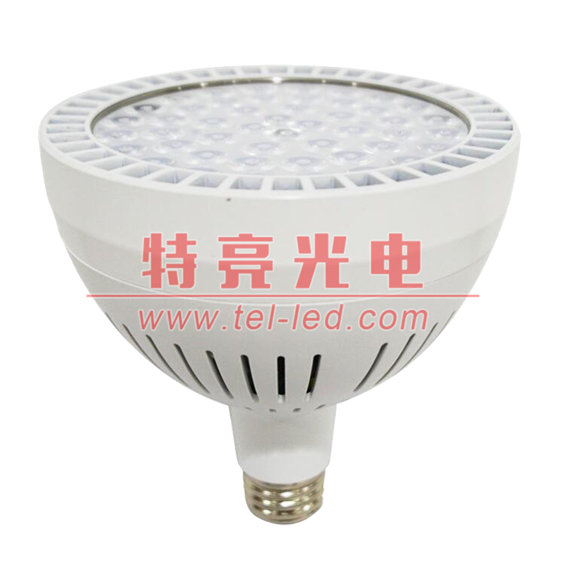工程款PAR38帕燈 大功率PAR38LED射燈
