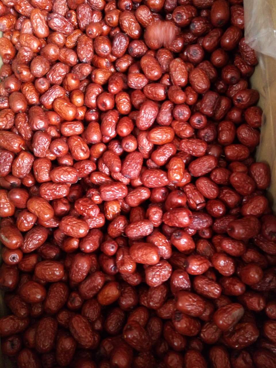 滄州紅棗加工批發(fā)   棗圈批發(fā)供應(yīng)