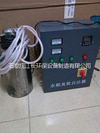 WTS-2A價格水箱自潔消毒器*勢