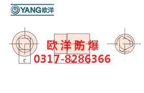 河北歐洋現(xiàn)貨供應(yīng)}防爆套筒頭(C=1/4″)/不同型號(hào)防爆套筒