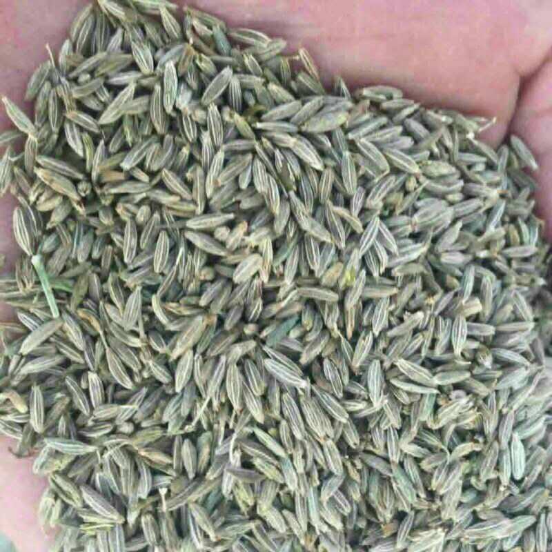 散裝孜然粉 燒烤腌料薯塔羊肉串撒料 調(diào)料香辛料燒烤料廠家批發(fā)