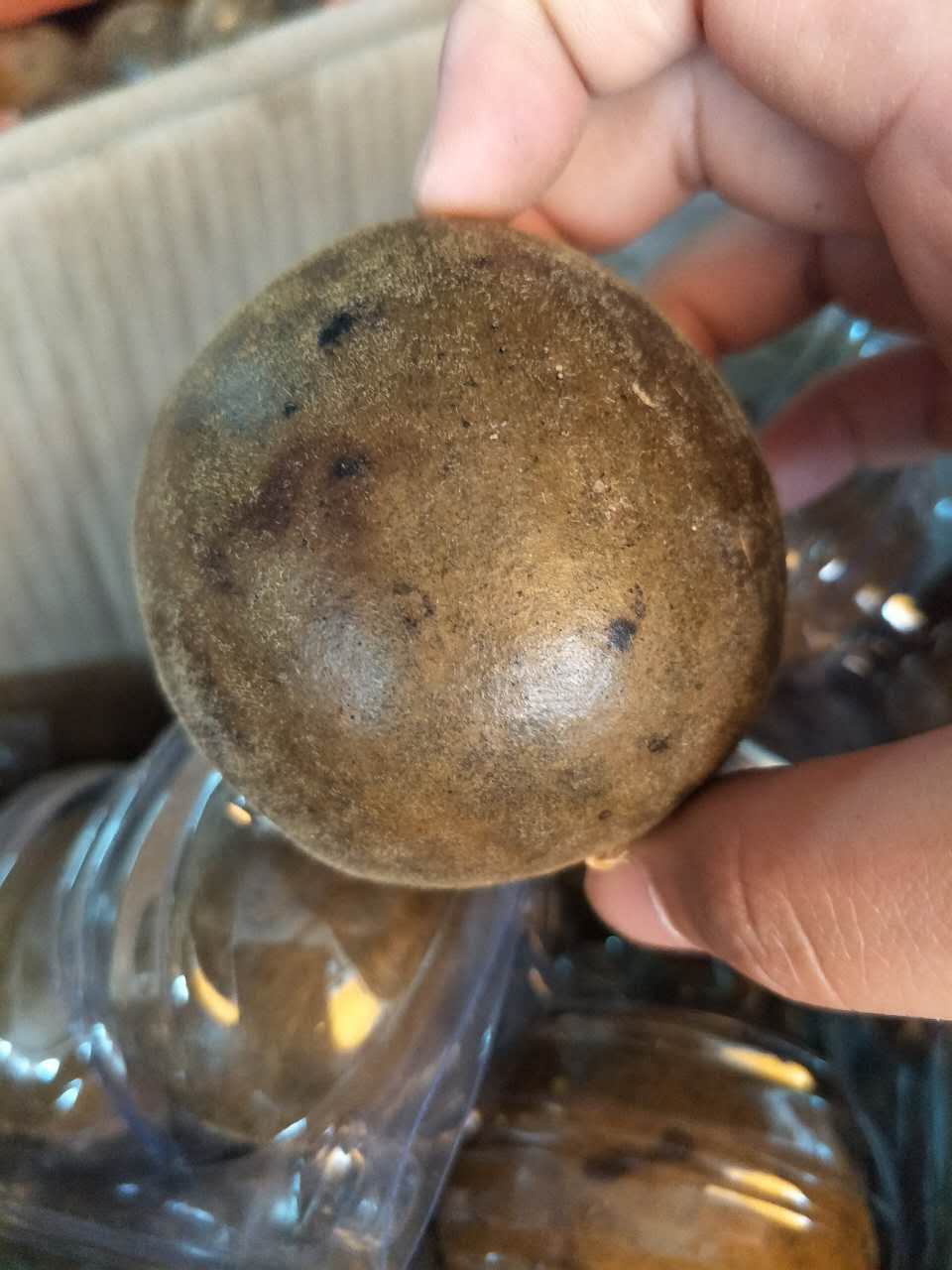 花草茶批發(fā) 優(yōu)質(zhì)羅漢果 散裝原產(chǎn)地直銷(xiāo)量大從優(yōu)現(xiàn)貨供應(yīng)