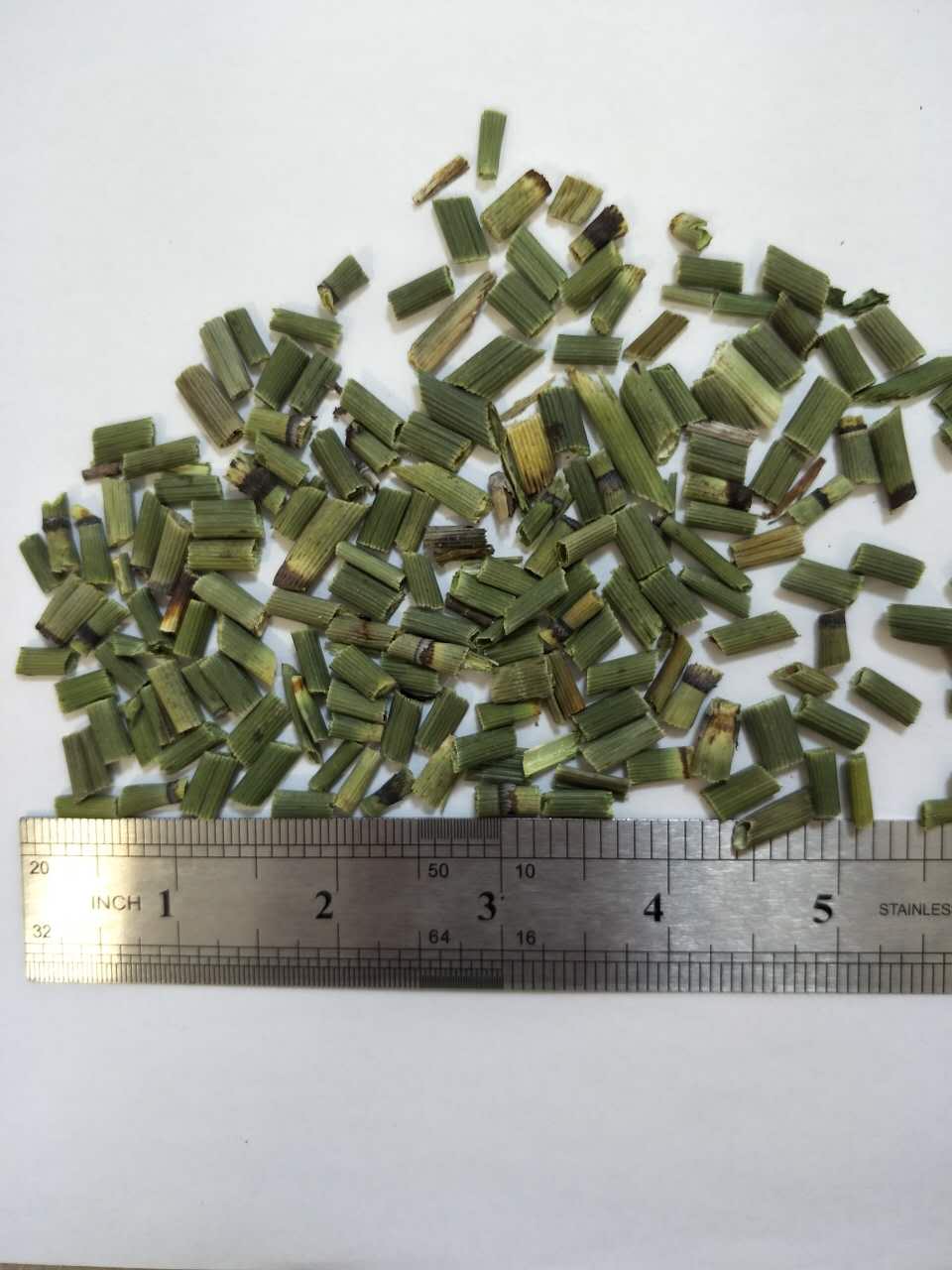 毫州市烏賊、毫州市烏賊供應(yīng)商、毫州市烏賊廠家