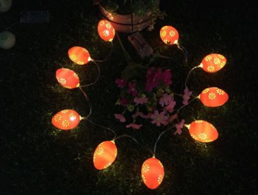 亞馬遜爆款LED電池盒雞蛋造型節(jié)日裝飾燈串