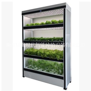 現(xiàn)代智能植物工廠生產(chǎn)展示型 智能植物凈化器科研教育器械 城市農(nóng)場(chǎng)種菜機(jī)