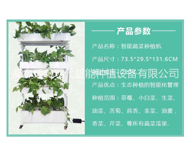 智能水培種植設(shè)備現(xiàn)代智能水培設(shè)備