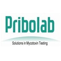 展青霉素分子印跡固xian親和柱