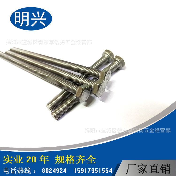 外六角螺絲，304不銹鋼外六角螺絲M6*8~120 緊固件廠家批發(fā)六角螺桿，揭陽(yáng)六角螺桿廠家