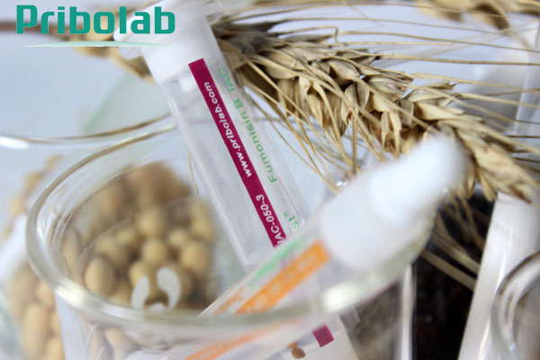 展青霉素分子印跡固xian親和柱