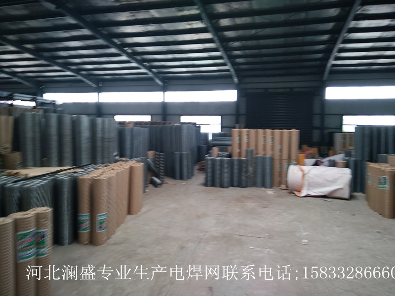 河北瀾盛專業(yè)生產(chǎn)電焊網(wǎng) 河北瀾盛 專業(yè)生產(chǎn)電焊網(wǎng)