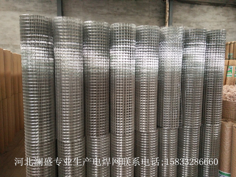 河北 瀾盛 專(zhuān)業(yè)生產(chǎn) 電焊網(wǎng) 河北瀾盛 專(zhuān)業(yè)生產(chǎn) 電焊網(wǎng)