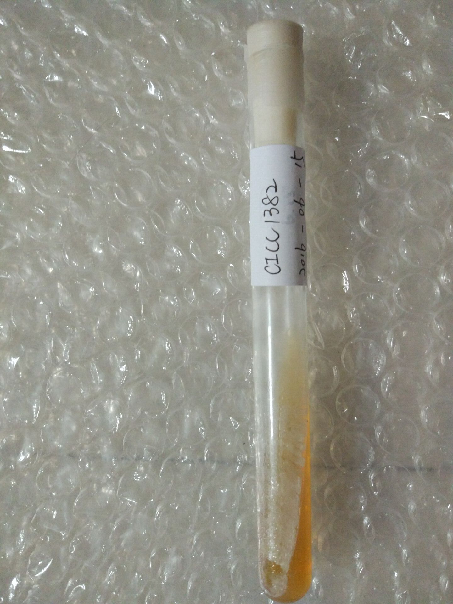 彎曲高溫單孢菌 波曲熱多孢菌