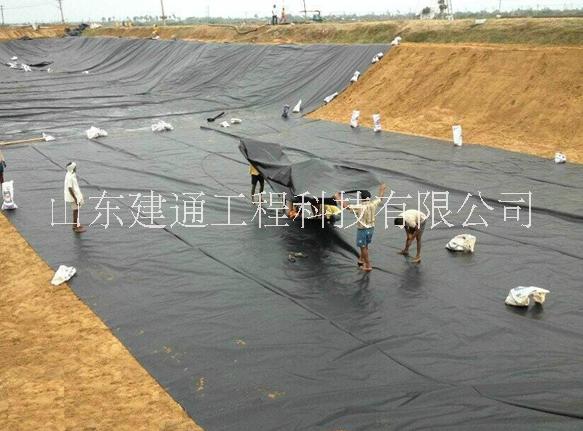 養(yǎng)殖防滲膜 養(yǎng)殖防滲膜廠家 養(yǎng)殖防滲膜價格 養(yǎng)殖防滲膜供應(yīng)