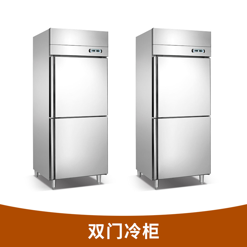 雙門冷柜 廚房保鮮柜 酒店餐廳不銹鋼冷藏冷凍柜 立式雙門冰柜 歡迎來電咨詢