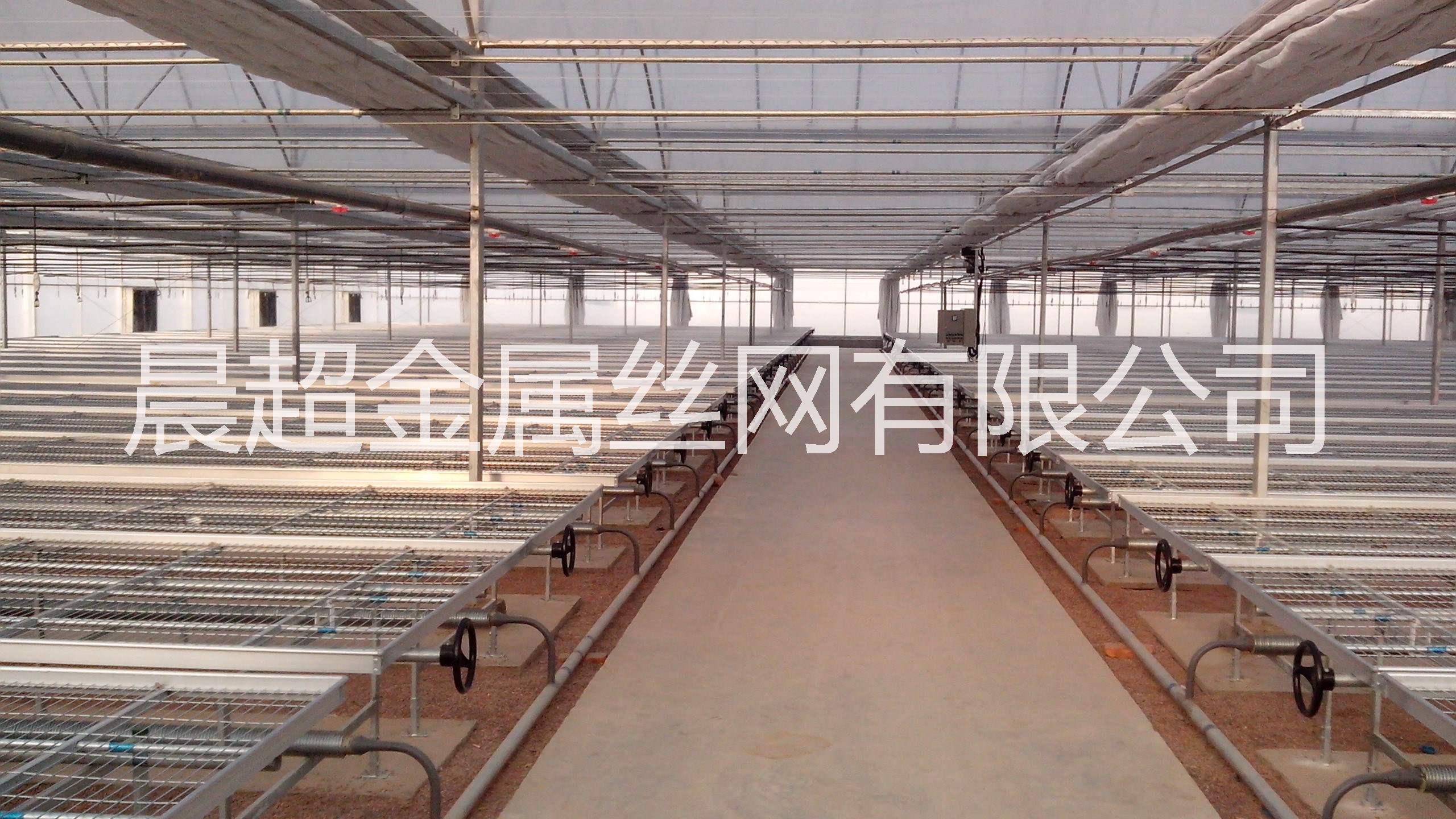 移動苗床河北晨*