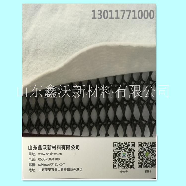 歡迎采購(gòu)鑫沃三維復(fù)合排水網(wǎng) 塑料排水網(wǎng) 三維排水網(wǎng)  隧道排水網(wǎng)