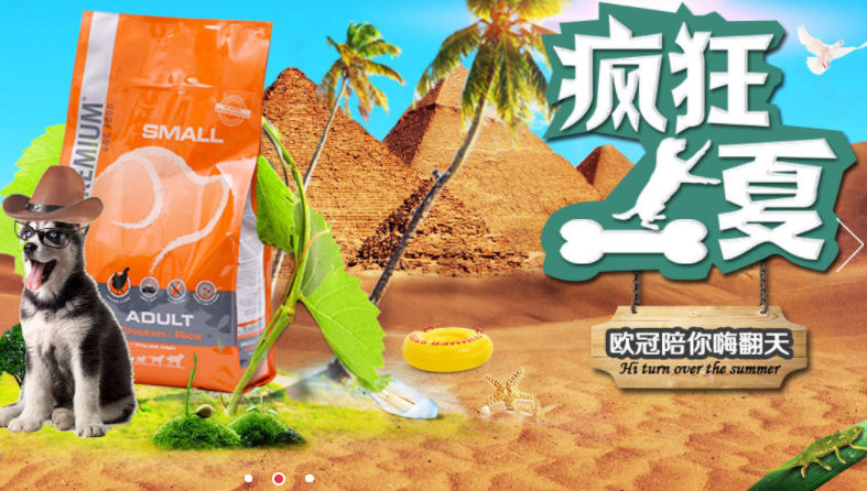 灰泰迪吃什么好 比利時犬糧 成犬糧3kg 寵物糧 狗狗干糧 狗狗吃什么好 歐冠寵物食品