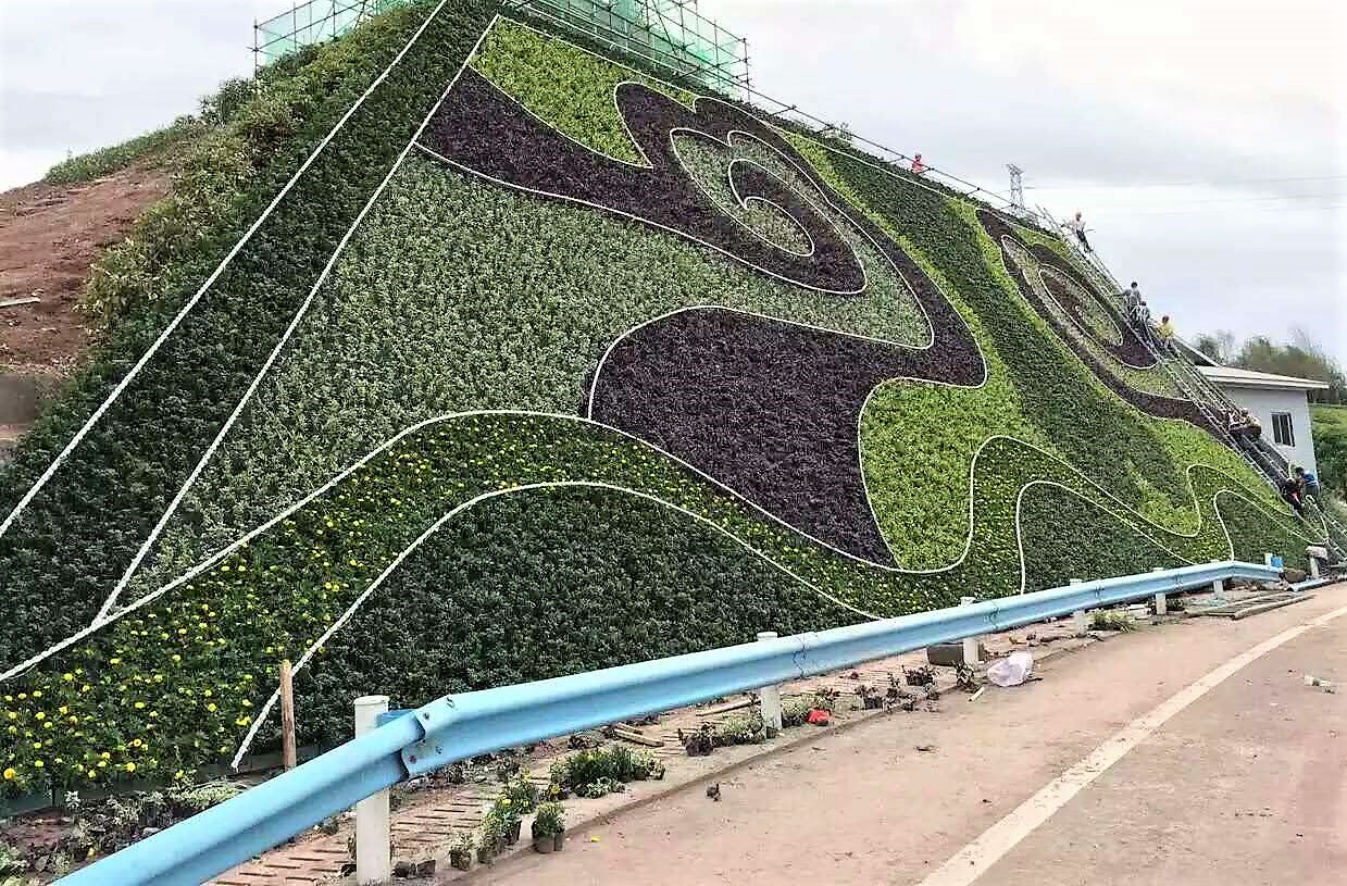 開封新園五色草造型