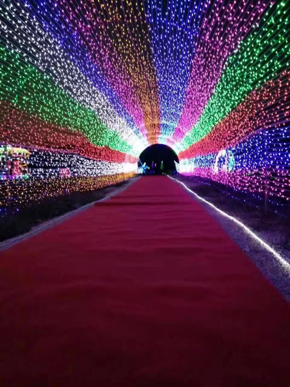 燈光展 燈光節(jié) 夢幻燈光節(jié) 恒大燈光展供應商 燈光造型制作商