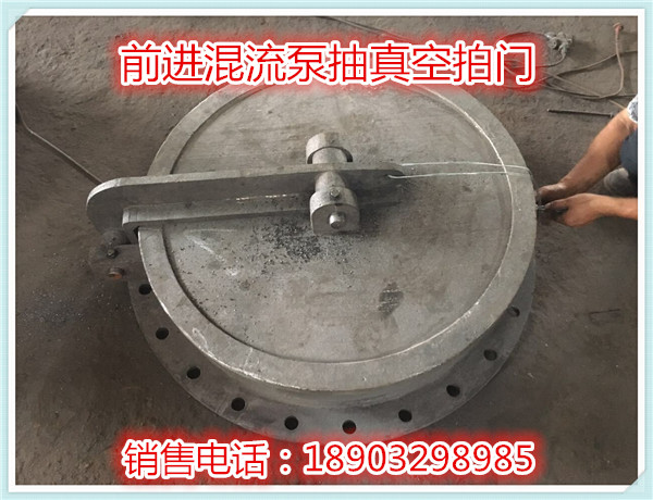 前進水工定制 前進水工定制DN60混流泵抽拍門